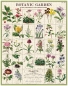 Preview: Cavallini Vintage Puzzle Botanic Garden, 1000 Teile