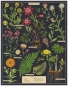 Preview: Cavallini Vintage Puzzle Herbarium, 1000 Teile