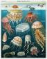 Preview: Cavallini Vintage Puzzle Jellyfish, 1000 Teile