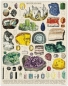 Preview: Cavallini Vintage Puzzle Mineralogie, 1000 Teile