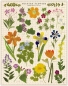 Preview: Cavallini Vintage Puzzle Pressed Flowers, 1000 Teile