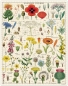 Preview: Cavallini Vintage Puzzle Wildflowers, 1000 Teile