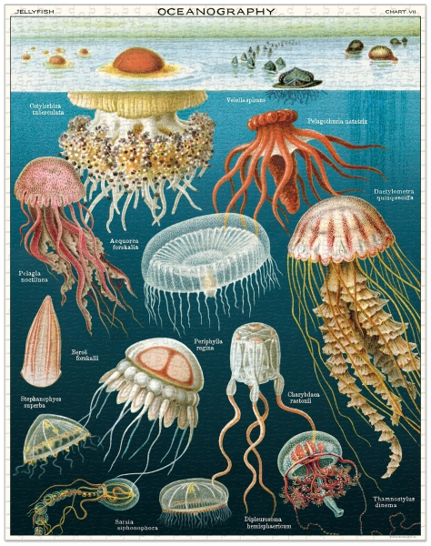 Cavallini Vintage Puzzle Jellyfish, 1000 Teile