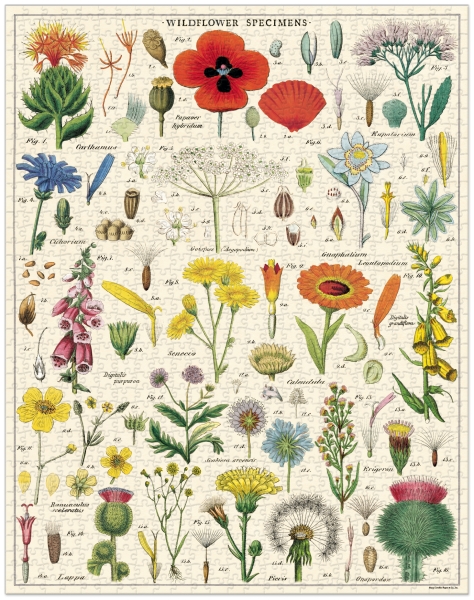 Cavallini Vintage Puzzle Wildflowers, 1000 Teile